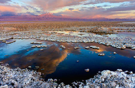 Mejores Gastronómicas y Hotelerías en Atacama