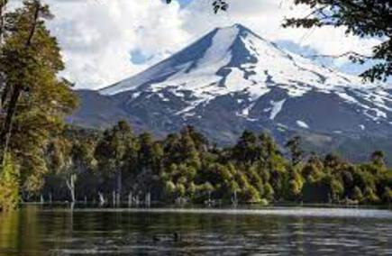 Las Mejores Gastronomías y Hostelerías en La Araucanía
