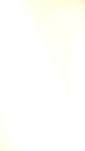 Panadería Sandrita Open Times