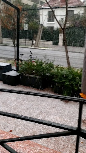 Patagonia Schokoland - Gastronomía y hostelería