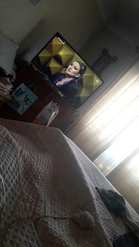 Pasteleria Tienda del Sur Carmen Andrade EIRL