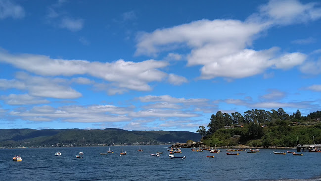 Restaurant Igor's - Valdivia