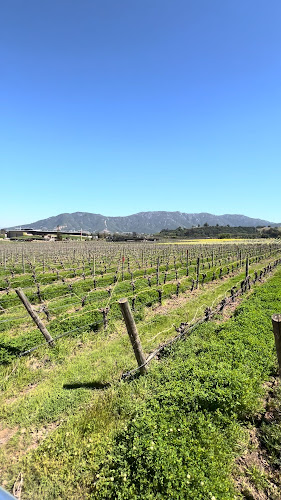 Viña Montes Alpha - Santa Cruz