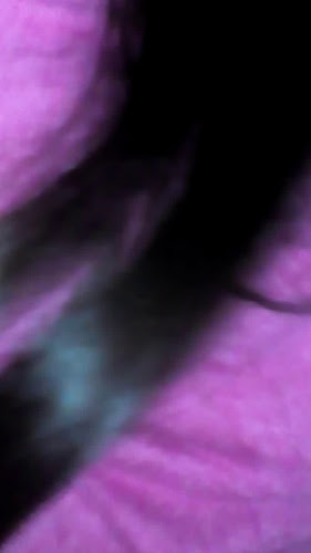 Panadería Sandrita - Gastronomía y hostelería