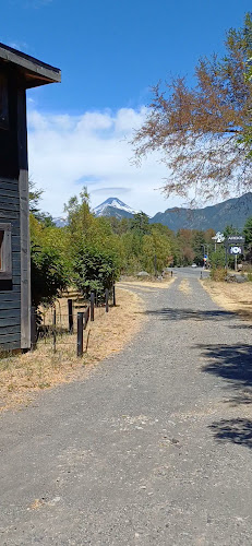ARBOL PUCON - Gastronomía y hostelería