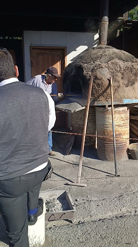 Los Hornitos De Lanco Phone number