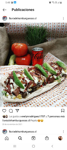 Comentarii opinii despre Lluvia de Hamburguesa