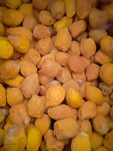 El Arrebol - Coronel