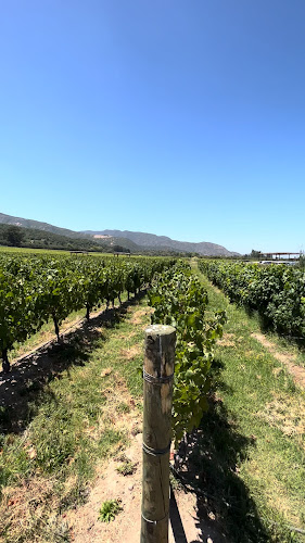 Fuegos de Apalta - Gastronomía y hostelería