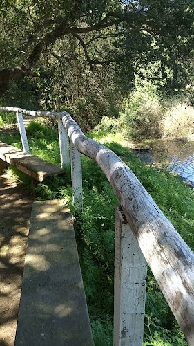 Restaurant El Plateado - Gastronomía y hostelería