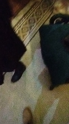 Av. Brasil 75, Santiago, Región Metropolitana