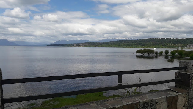 Opinii despre Restaurant el Rey del Marisco de Villarrica în Villarrica - Gastronomía y hostelería