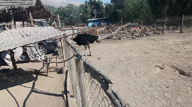 Restaurante Puro Chile - Arica