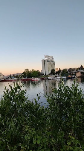 Los Laureles 75, local 16, 5090000 Valdivia, Los Ríos