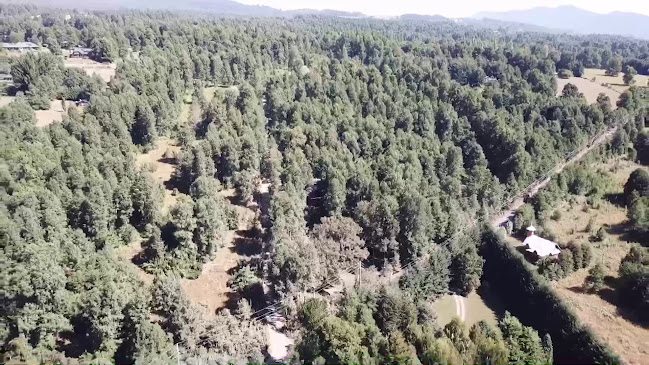 Opinii despre A la Olla restorant în Pucon - Gastronomía y hostelería