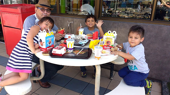 Sta. Amalia 1763, La Florida, Región Metropolitana