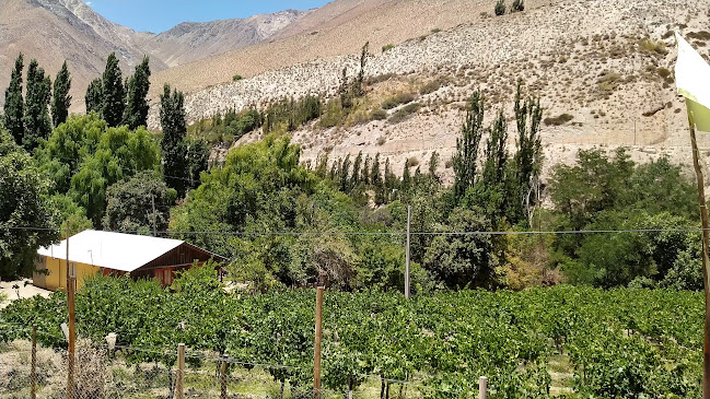 Reviews of Las TERRAZAS DE DOÑA MELY in La Serena - Gastronomía y hostelería