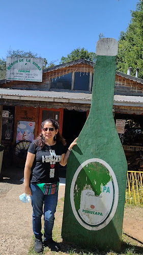 Sociedad Agropecuaria Punucapa S.A. - Gastronomía y hostelería