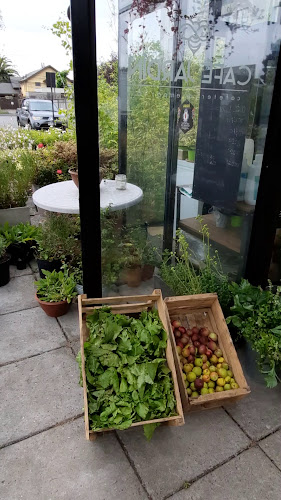 Reviews of Café Jardinero in San Pedro de la Paz - Gastronomía y hostelería