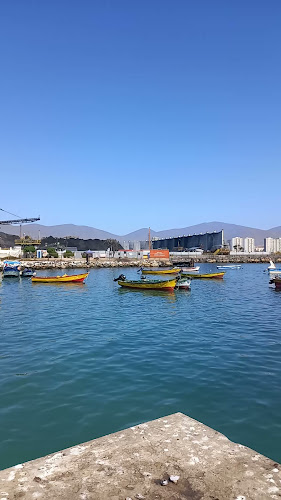 Caleta de Guayacán - Coquimbo