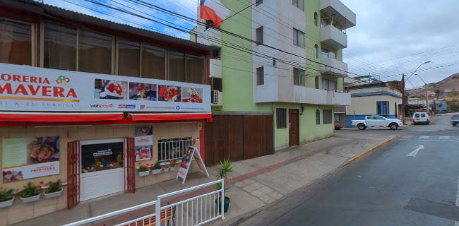 Florería Primavera Antofagasta Open Times