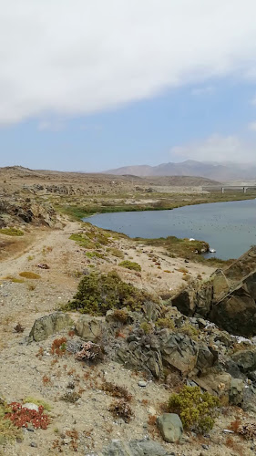 Opinii despre Carrizal Bajo în Vallenar - Gastronomía y hostelería