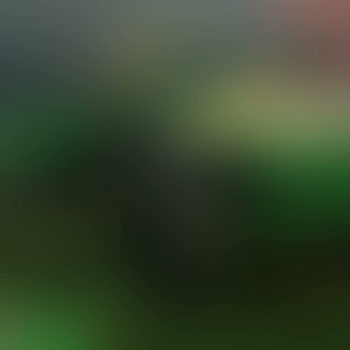 Restaurante Malandros