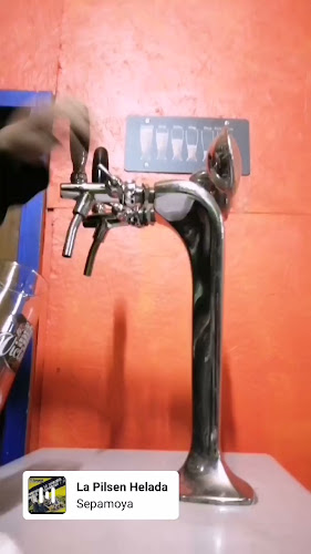 Opinii despre Chichera Las Canoas în Padre las Casas - Gastronomía y hostelería