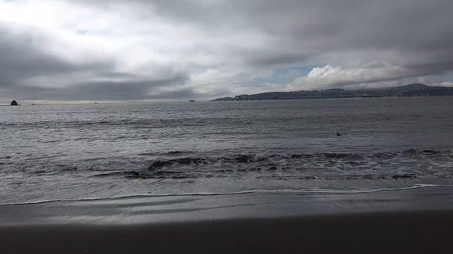 Restaurant Gracilaria - Biobío