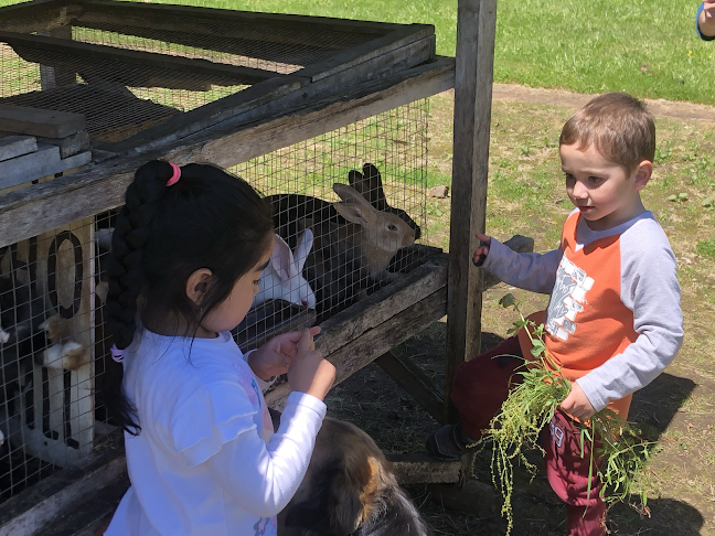 Camino a Riñinahue km. 5,3, Sector Ilihue, Lago Ranco, Lago Ranco, Los Ríos
