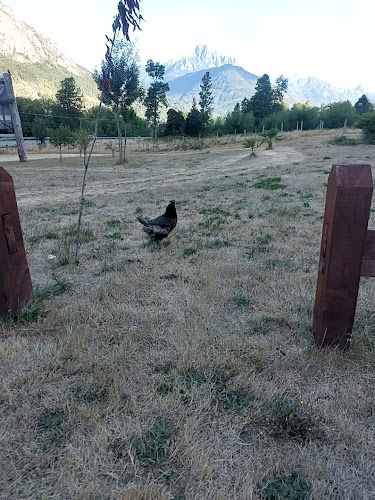 Terrazas Panorámicas 360 - Gastronomía y hostelería