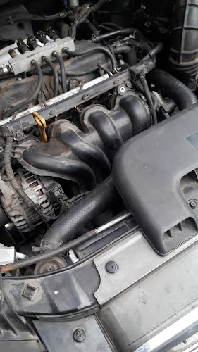 Comentarii opinii despre Palacio del Vino