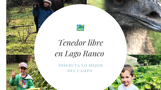 Restaurante Parque Ilihue - Lago Ranco