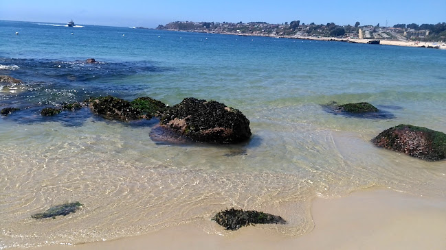 Caleta Miramar - El Quisco