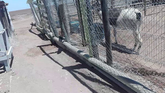 Opinii despre Desierto Florido Atacama în Copiapó - Gastronomía y hostelería