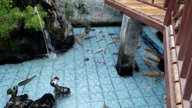 Restaurant Jardín Chino - La Florida