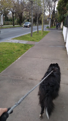 Fortunata - Gastronomía y hostelería