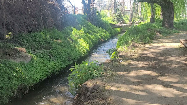 Opinii despre Mote Con Huesillos Camino El Monte în Melipilla - Gastronomía y hostelería