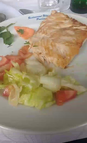 Última Esperanza - Puerto Natales