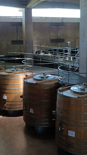 Comentarii opinii despre Viña Montes Alpha