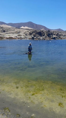 Costanera sin numero, WV92+MP, Carrizal Bajo, Huasco, Atacama