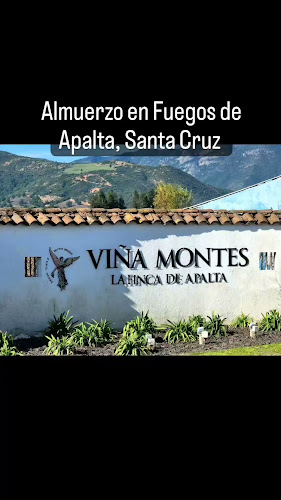 Comentarii opinii despre Viña Montes Alpha