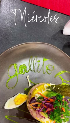 Gallito Roca - Viña del Mar