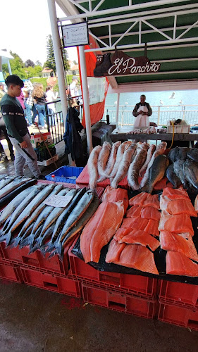 Comentarii opinii despre Feria Fluvial de Valdivia