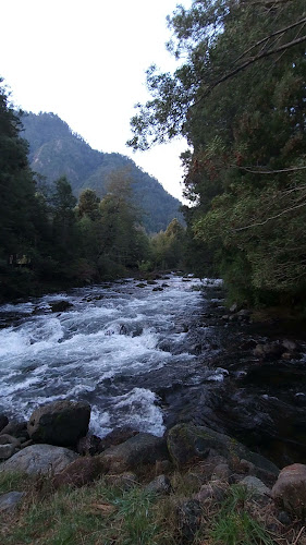 Opinii despre Termas Quilalelfu în Panguipulli - Gastronomía y hostelería