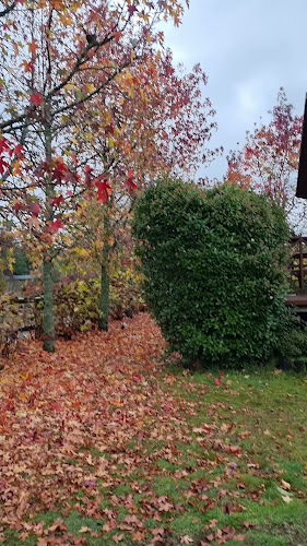 Wenu Pillán Cervecería y Restaurante - Villarrica