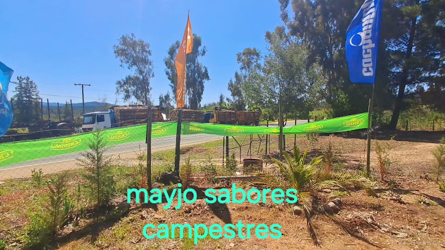 Mayjo sabores campestres Open Times