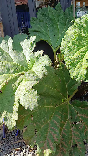 EntreVientos Café & Bar