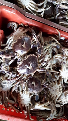 Opinii despre Cocinerías Mercado Cauquenes în Cauquenes - Gastronomía y hostelería