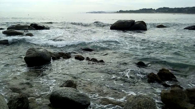 Terrazas Punta De Tralca - Gastronomía y hostelería